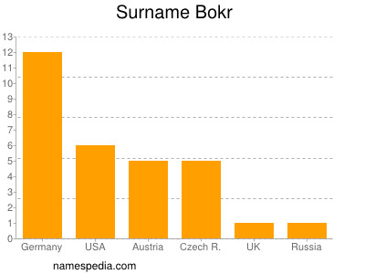 Surname Bokr