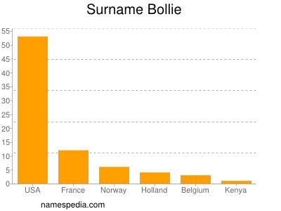 Familiennamen Bollie