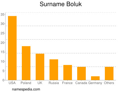 Surname Boluk