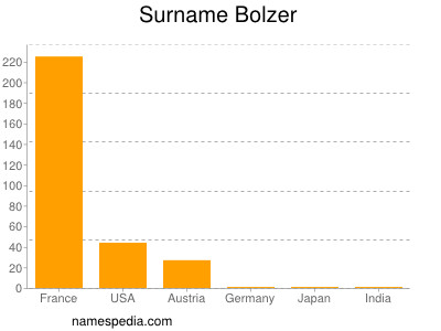 Familiennamen Bolzer
