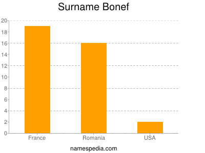 Surname Bonef