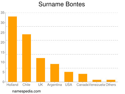 Surname Bontes