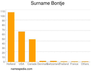 Familiennamen Bontje