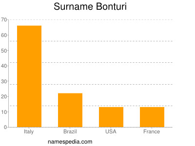 Familiennamen Bonturi