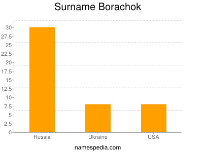 Familiennamen Borachok