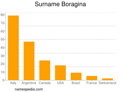 Surname Boragina