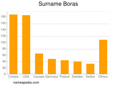 Familiennamen Boras