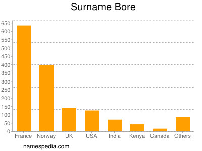 Surname Bore