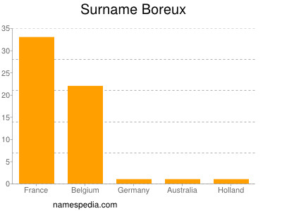 Familiennamen Boreux