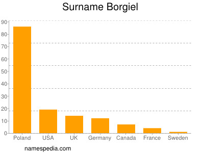 Familiennamen Borgiel