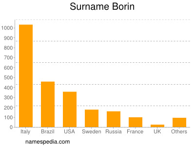 Surname Borin