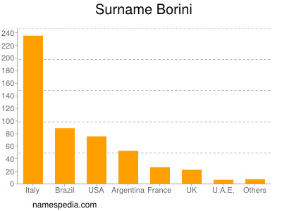 Surname Borini