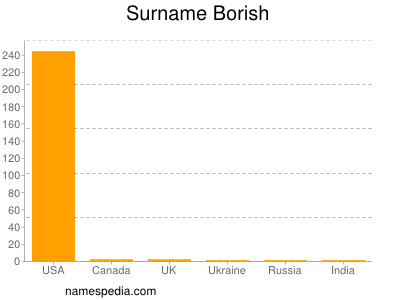 Surname Borish