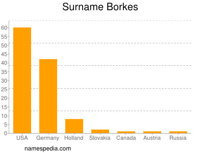 Familiennamen Borkes