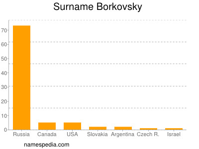 Familiennamen Borkovsky