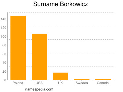 Familiennamen Borkowicz