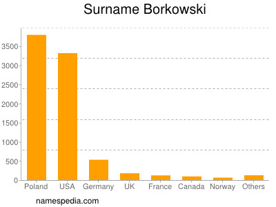 Familiennamen Borkowski