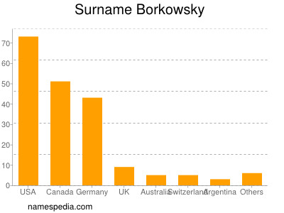 Familiennamen Borkowsky