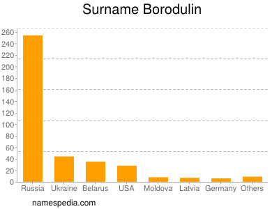 Familiennamen Borodulin