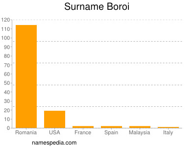 Surname Boroi