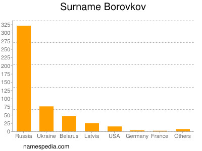 Familiennamen Borovkov