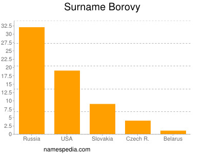 Familiennamen Borovy