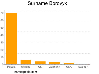 Familiennamen Borovyk