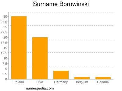 Surname Borowinski