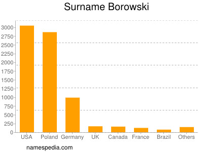 Familiennamen Borowski