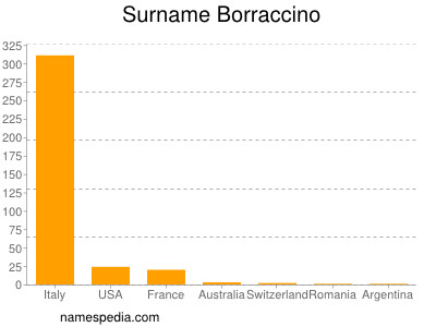 Surname Borraccino