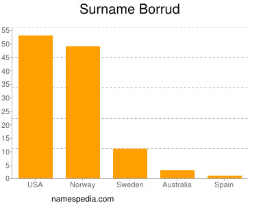 Surname Borrud