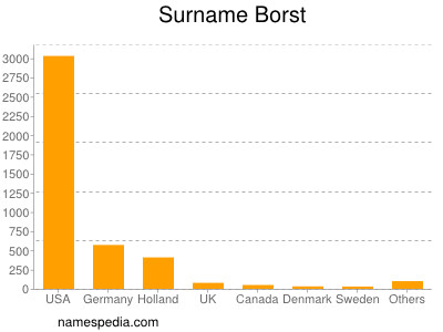 Familiennamen Borst