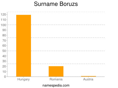 Familiennamen Boruzs