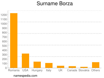 Surname Borza