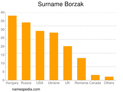 Surname Borzak