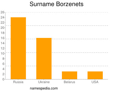 Familiennamen Borzenets