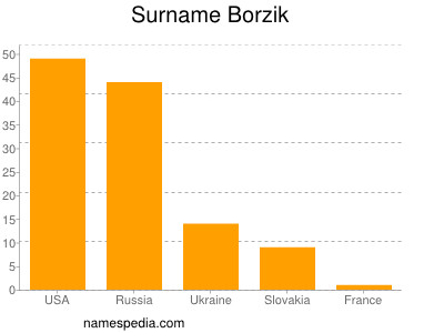 Familiennamen Borzik