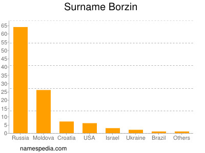 Familiennamen Borzin