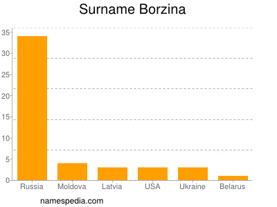 Familiennamen Borzina