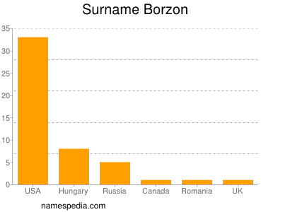Surname Borzon