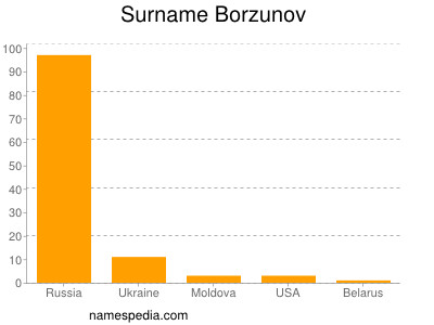 Familiennamen Borzunov