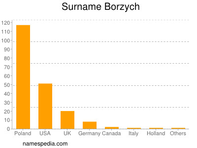 Surname Borzych