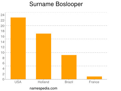 Familiennamen Boslooper