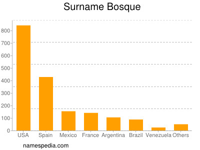 Familiennamen Bosque