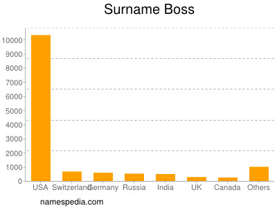 Familiennamen Boss