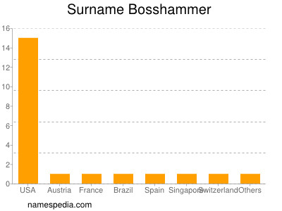 Familiennamen Bosshammer