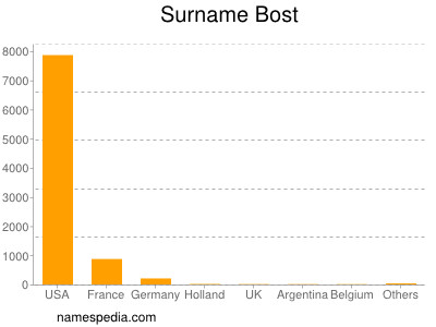 Surname Bost