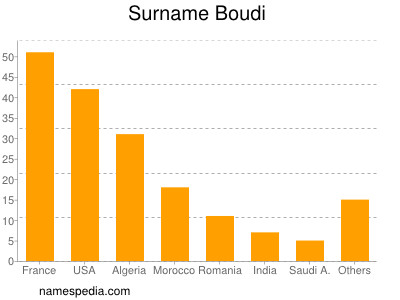 Surname Boudi