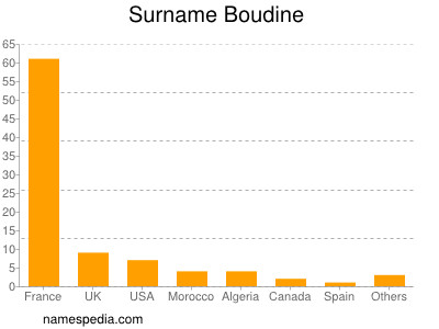 Surname Boudine