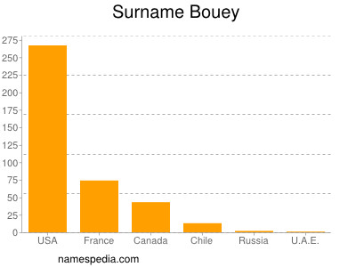 Familiennamen Bouey
